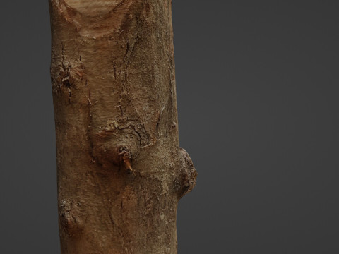Log 3D 模型