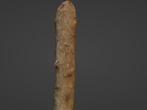 Log 3D 模型