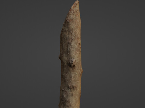 Log 3D 模型