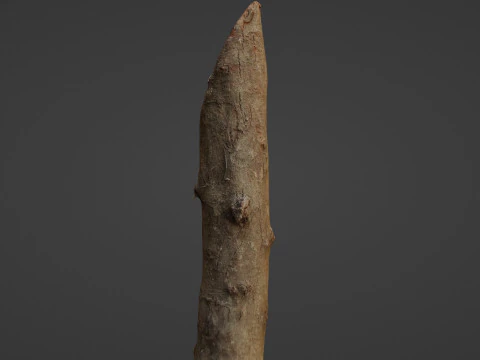 Log 3D Model