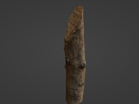 Log 3D 模型