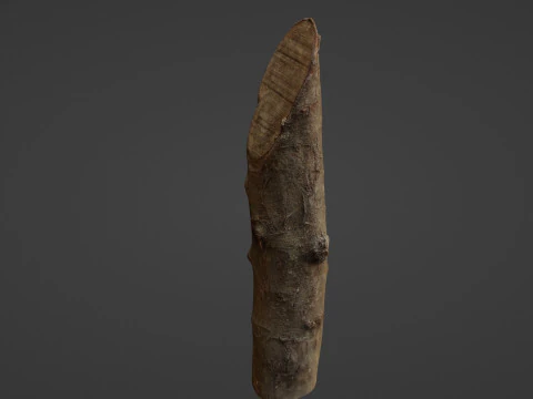 Log 3D Model