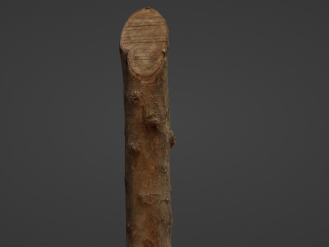 Log 3D 模型