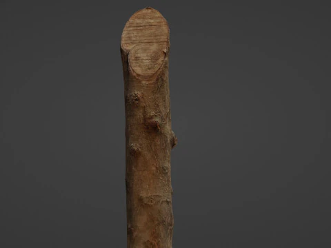 Log 3D Model