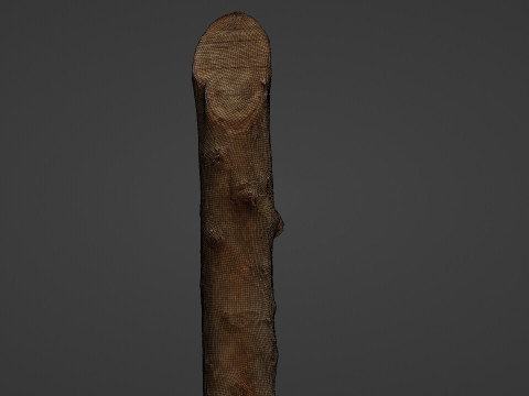 Log 3D 模型