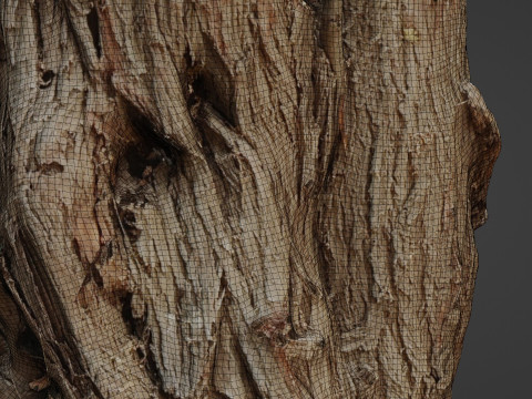 Tree stump scan 3D Model