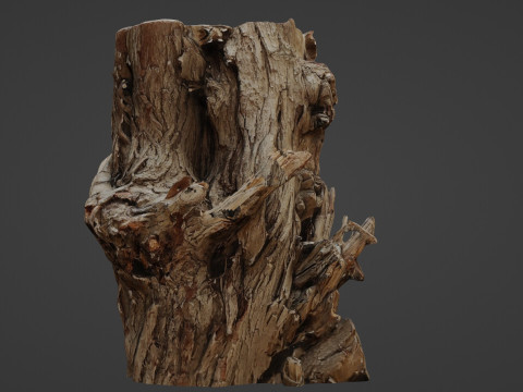 Tree stump scan 3D Model