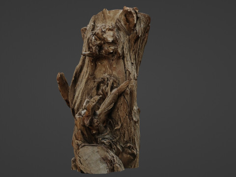 Tree stump scan 3D Model