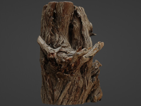 Tree stump scan 3D Model