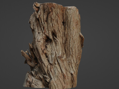 Tree stump scan 3D Model