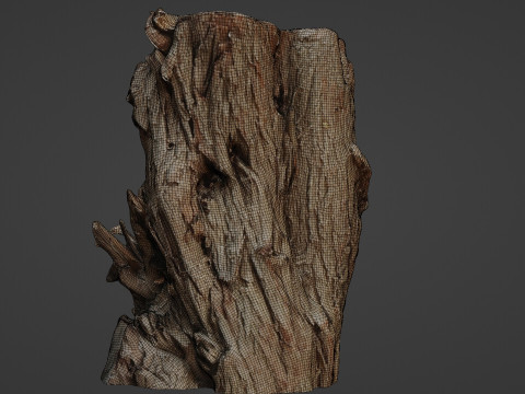 Tree stump scan 3D Model
