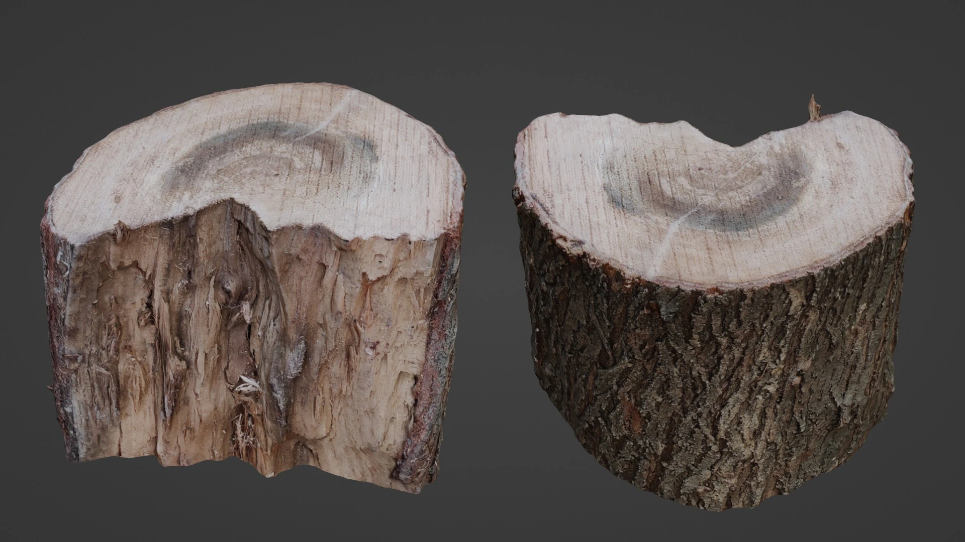 Cutted Stump 3D Model .c4d .max .obj .3ds .fbx .stl .blend 