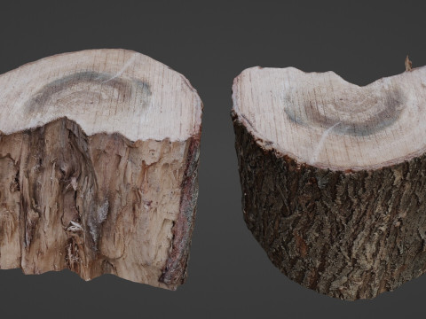Cutted Stump Modèle 3D