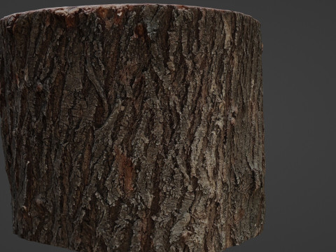 Cutted Stump Modèle 3D