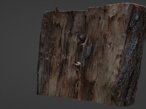 Cutted Stump Modèle 3D