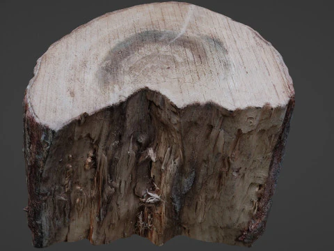 Cutted Stump 3D Model