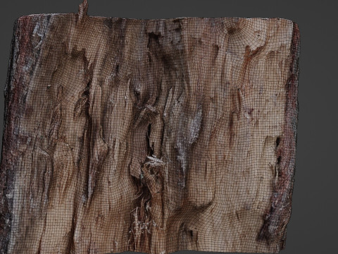 Cutted Stump Modèle 3D