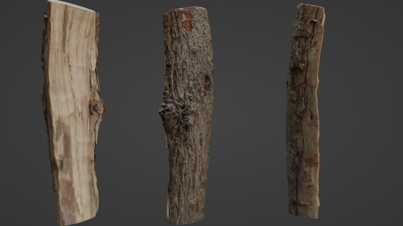 Scanned Cutted Trunk Modelo 3D .c4d .max .obj .3ds .fbx .stl .blend