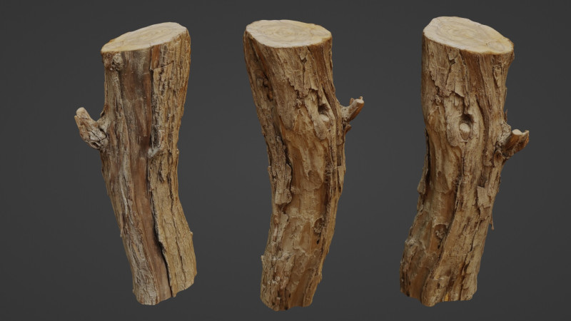 Log stump scan 3D Model .c4d .max .obj .3ds .fbx .stl .blend
