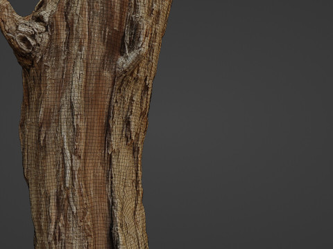 Log stump scan 3D Model