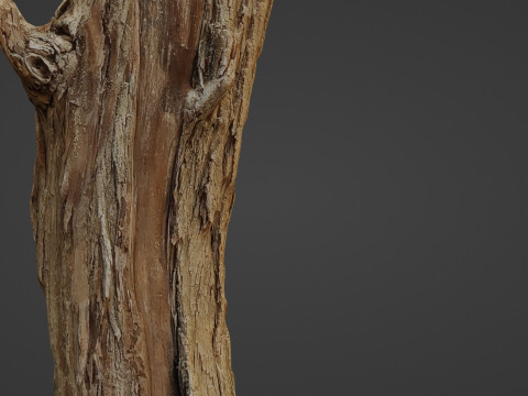 Log stump scan 3D Model