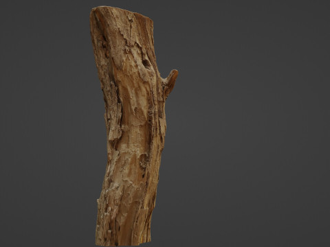 Log stump scan 3D Model