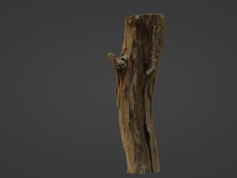 Log stump scan 3D Model