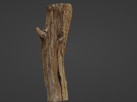 Log stump scan 3D Model