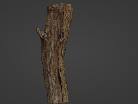 Log stump scan 3D Model