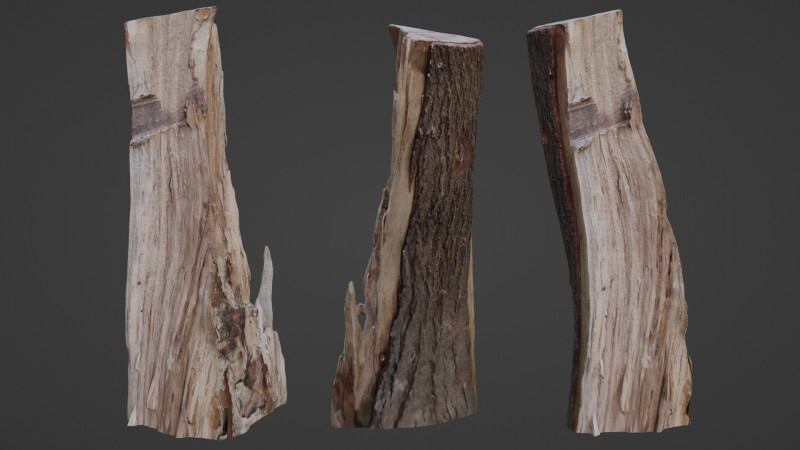 Stump cutted 3Dモデル .c4d .max .obj .3ds .fbx .stl .blend