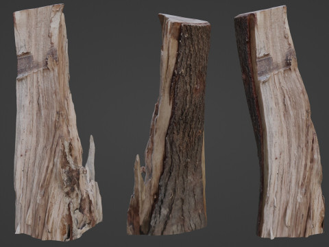 Stump cutted Modèle 3D