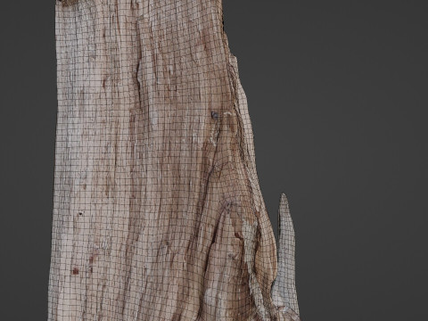 Stump cutted 3Dモデル