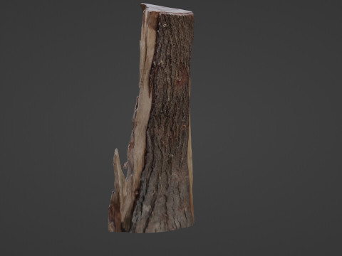 Stump cutted 3Dモデル