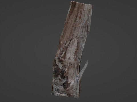 Stump cutted 3Dモデル