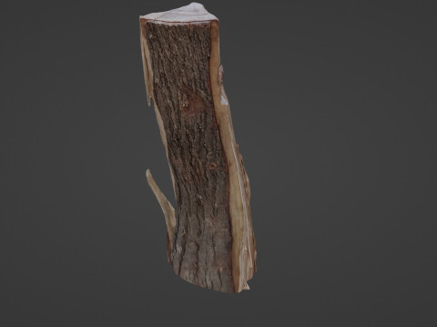 Stump cutted 3Dモデル