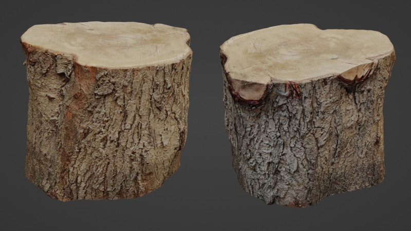 Stump Scan 3D Model .c4d .max .obj .3ds .fbx .stl .blend
