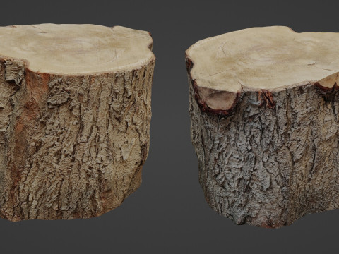 Stump Scan 3D Model
