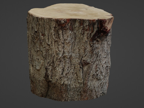Stump Scan 3D Model