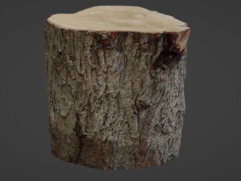 Stump Scan 3D Model