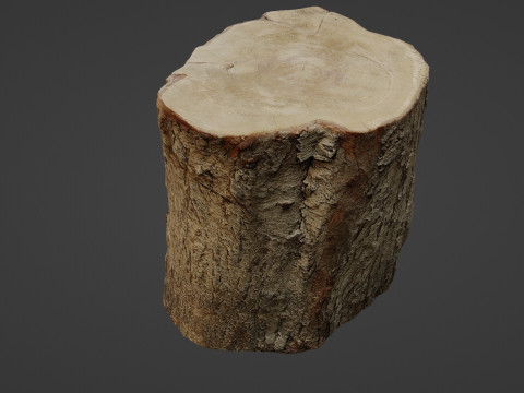 Stump Scan 3D Model