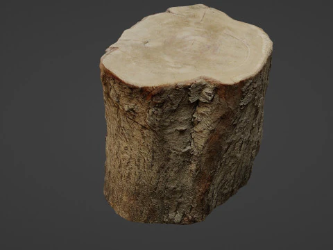 Stump Scan 3D Model
