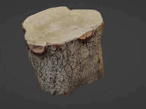 Stump Scan 3D Model