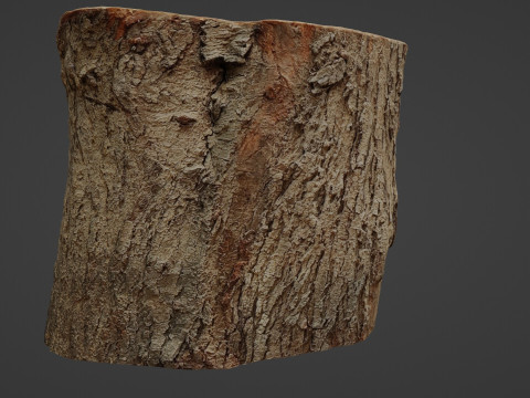 Stump Scan 3D Model
