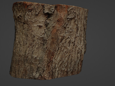 Stump Scan 3D Model