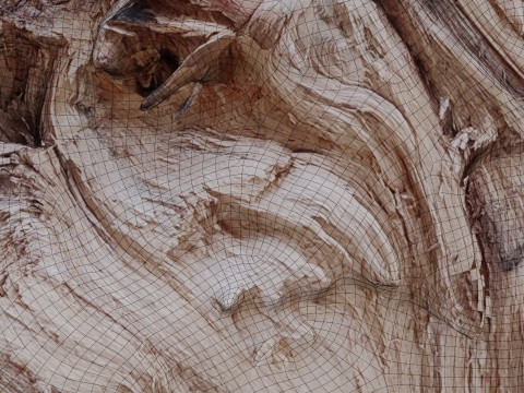 Trunk cutted scan 3D Model