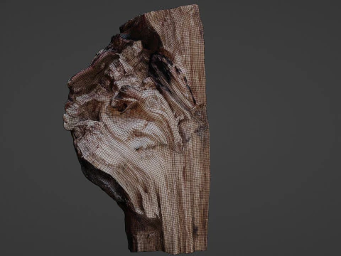 Trunk cutted scan 3D Model