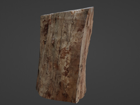 Trunk Half cutted Model 3D