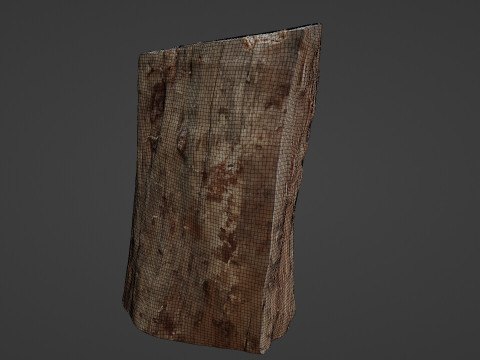 Trunk Half cutted Model 3D