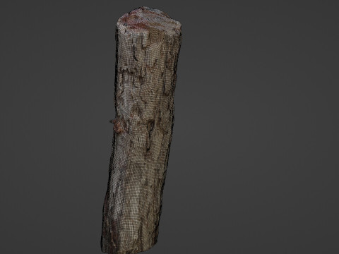 Tree Trunk Cutted 3D Model