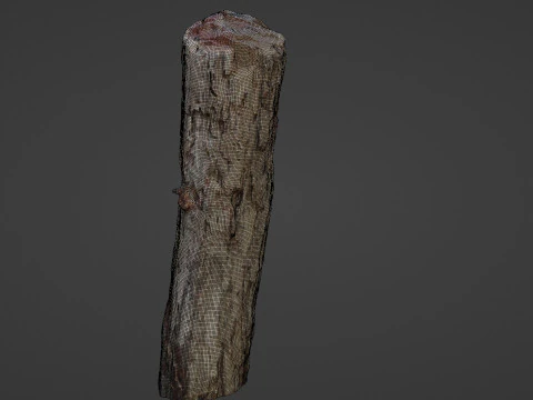 Tree Trunk Cutted 3D Model